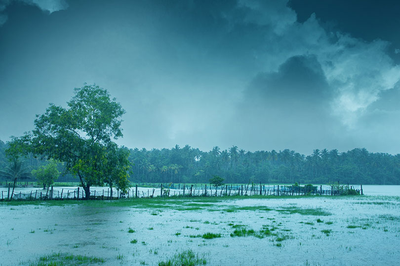 തെക്കുപടിഞ്ഞാറൻ കാലവർഷം ശനിയാഴ്ചയോടെ കേരളത്തില്‍ പെയ്തുതുടങ്ങാൻ സാധ്യതയെന്ന് കാലാവസ്ഥാ നിരീക്ഷണ കേന്ദ്രം.